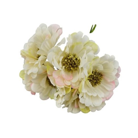 GERBERA SFUMATO BIANCO D5